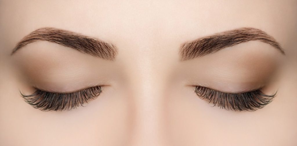 Eyebrow transplantation