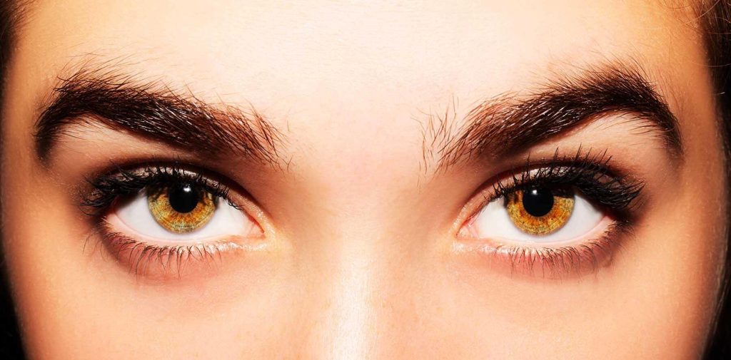 greffe de sourcils